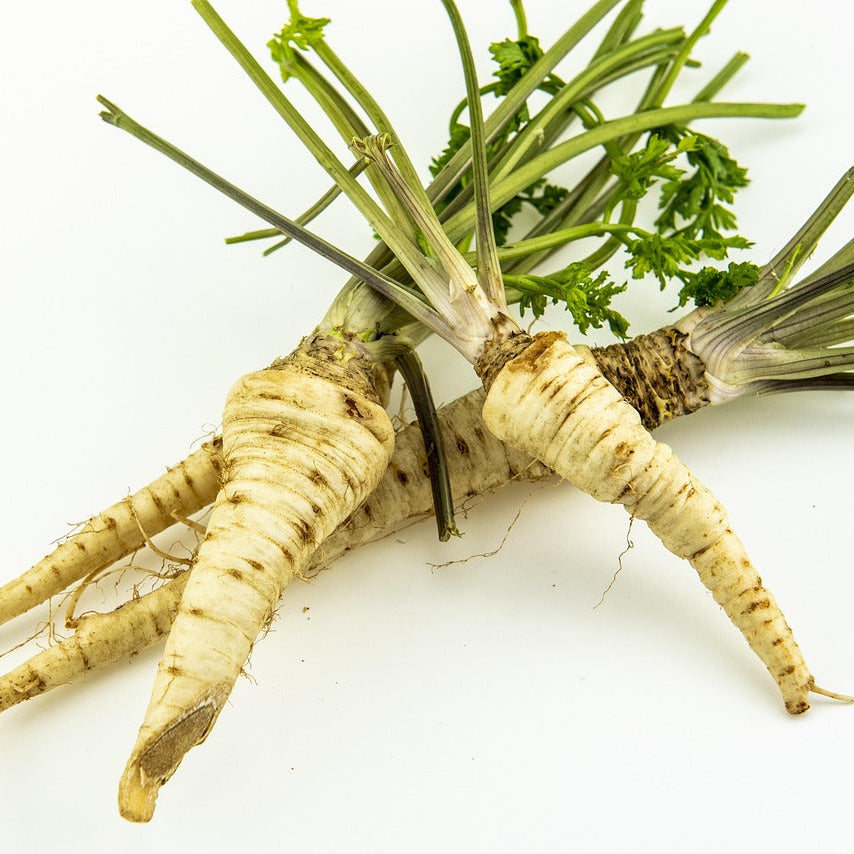 Korzeń Pietruszki 1 kg