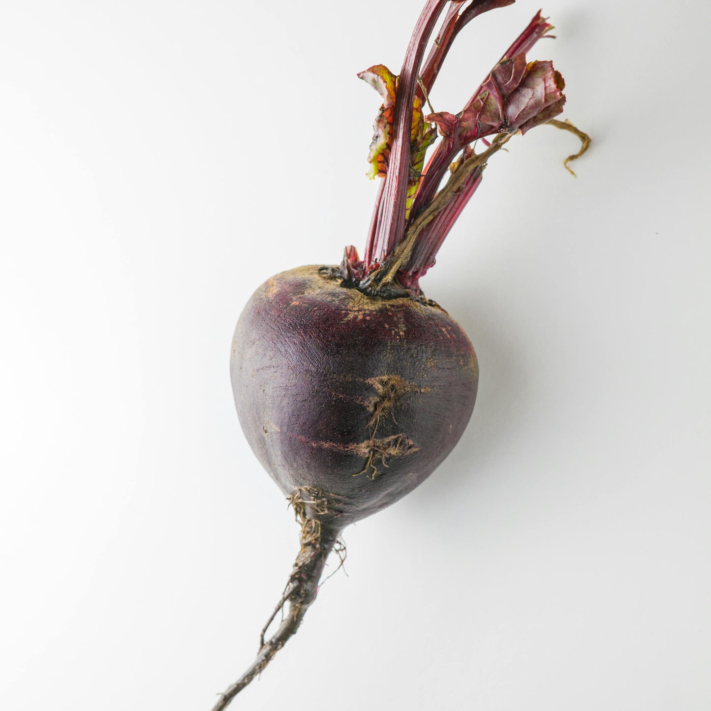 Burak ćwikłowy świeży 1 kg