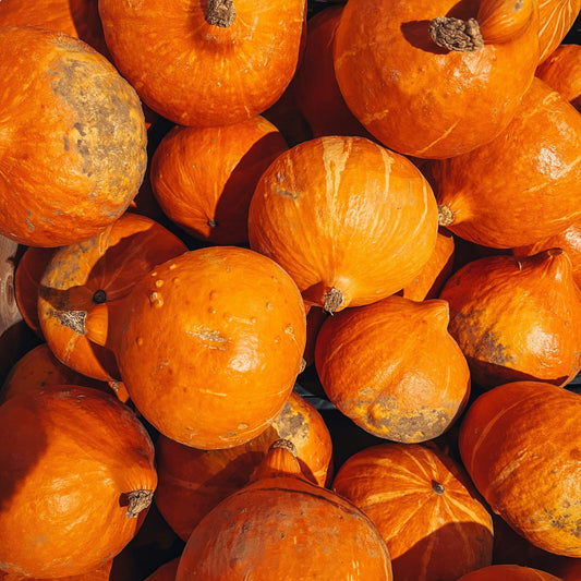 Dynia Hokkaido - 1 szt.