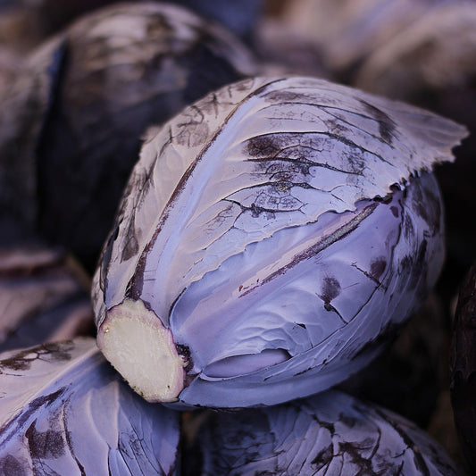 Kapusta czerwona - 1 szt.