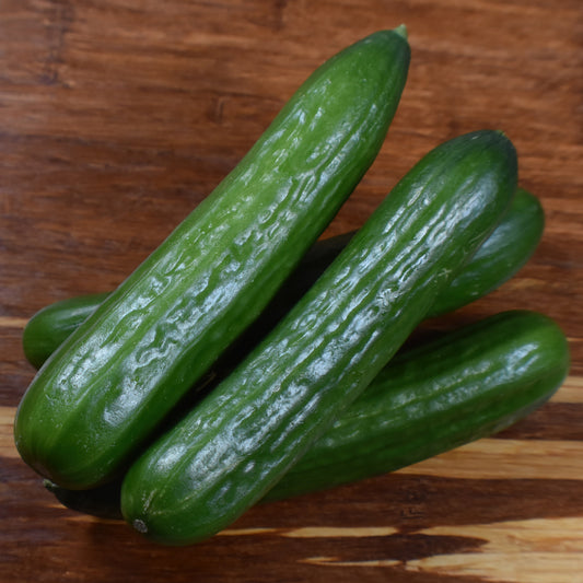 Ogórek szklarniowy - 1 kg