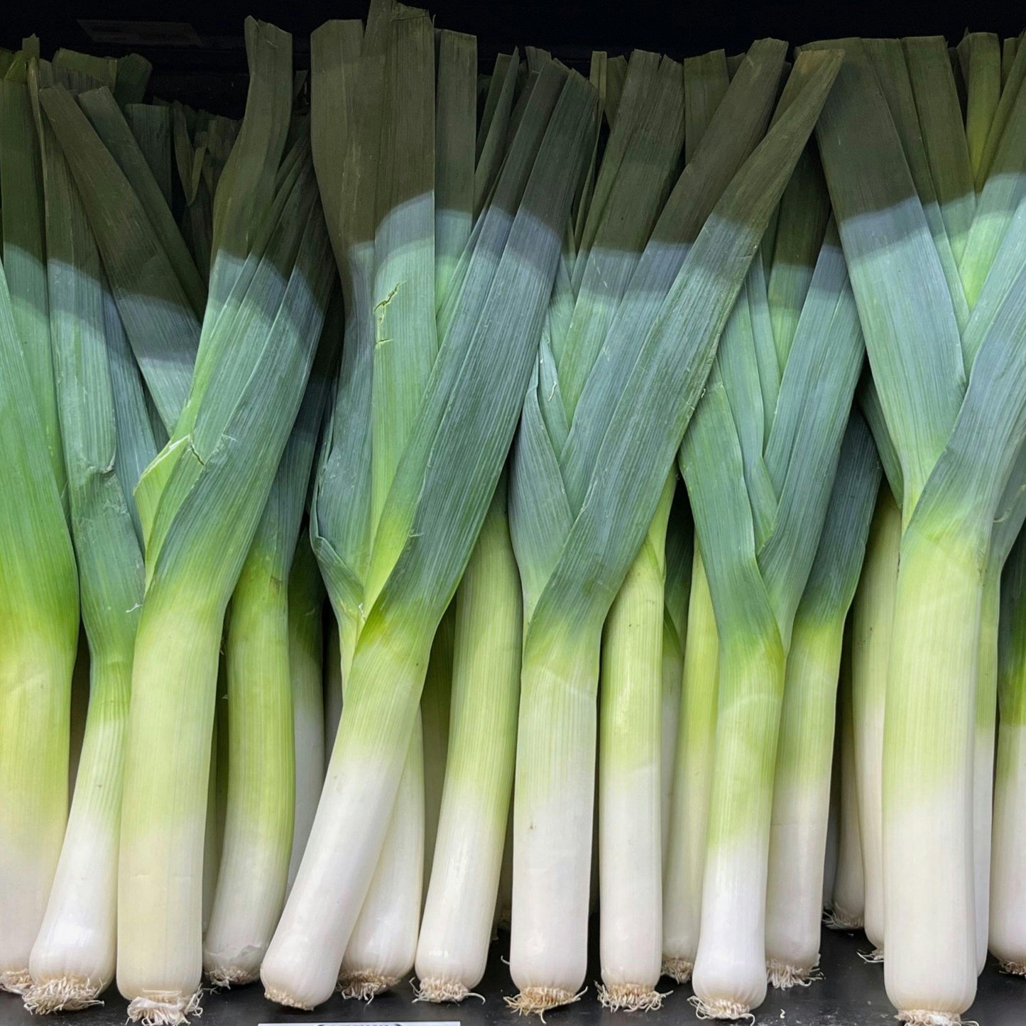 Por świeży - 1 szt.